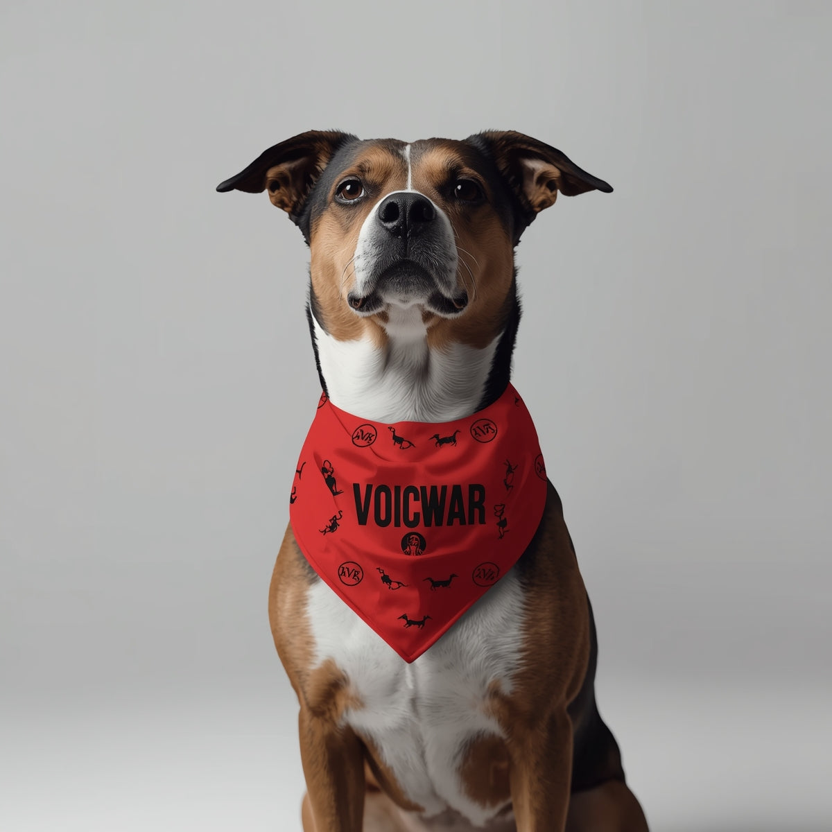 VOICWAR Beyond The Shirt